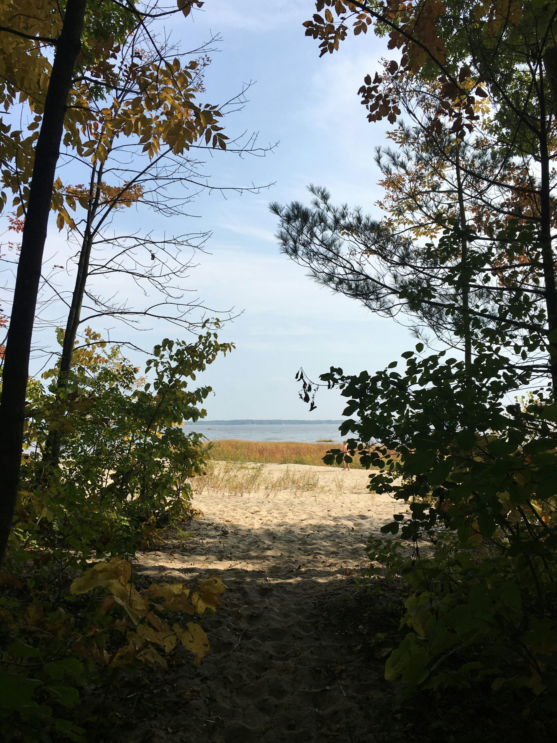 Côte-Nord : pourquoi le solaire résidentiel devient une option stratégique en 2026